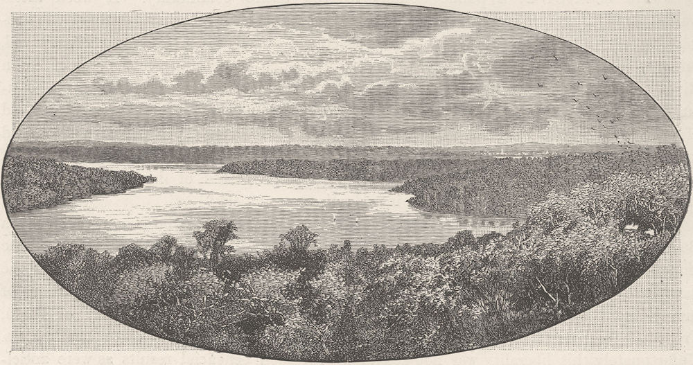 AUSTRALIA. West. Swan River 6 miles above Perth 1890 old antique print picture